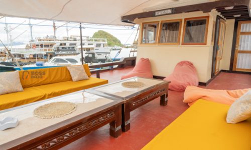 alfatran - sundeck (2)