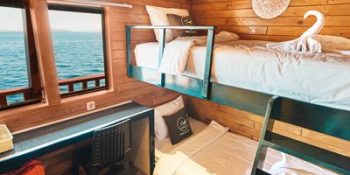 ocean-pro-1-6-ocean-twin-2pax-6.jpg